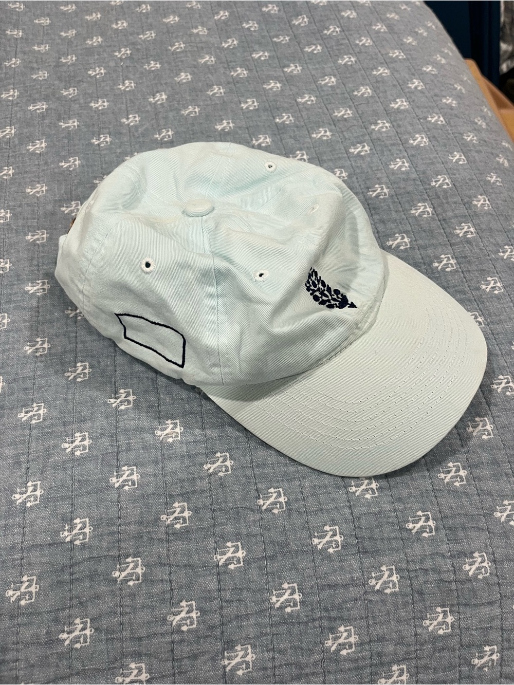 Free People Mint Green Baseball Cap with Embroidered Accent